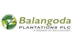 balangoda plantations 01