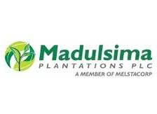 madulsima plantations 01